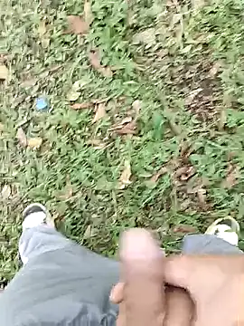 C vas  online show from 5, 3, 2025