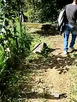 C vas  online show from 16, 3, 2025