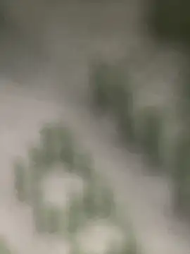 Estefanii- online show from 16, 12, 2024