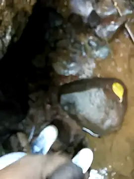 dpkpaksudda online show from 24, 9, 2025