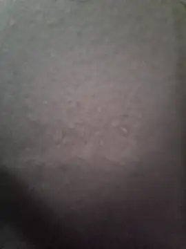 sexxwhhome online show from 26, 10, 2025