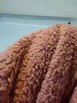 911Calling online show from 14, 12, 2024