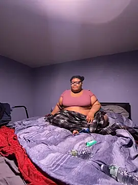 dondivax3 online show from 24, 3, 2026