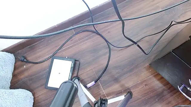 Aurora blossom   online show from 24, 12, 2024