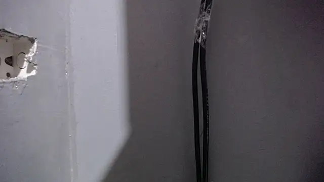 ladynemesis online show from 3, 11, 2025