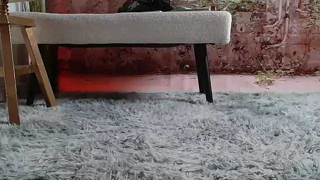 Snapshot of priselvis23 chatting on 12, 3, 2025 priselvis23 online show from 12, 3, 2025