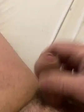 sid800 online show from 14, 11, 2025