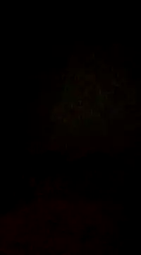 lobomisterioso13 online show from 3, 2, 2025