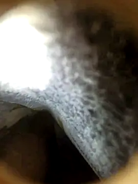 Snapshot of fankiey chatting on 20, 10, 2025 fankiey online show from 20, 10, 2025