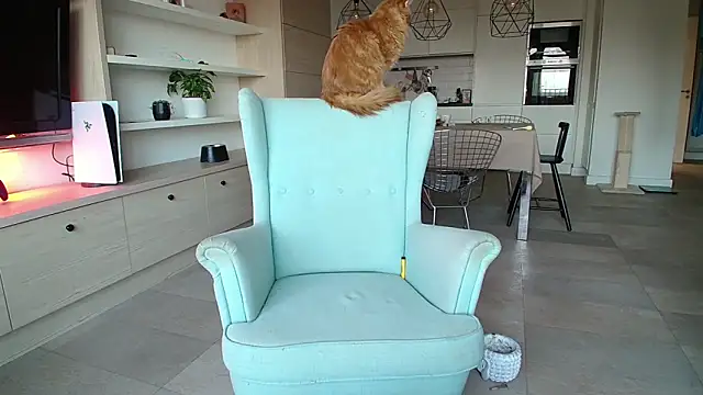 Snapshot of Kotis_Foxy chatting on 3, 10, 2025 Kotis Foxy online show from 3, 10, 2025