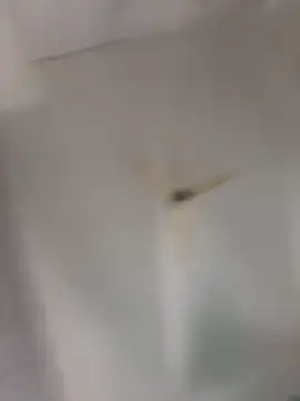 Snapshot of playboy_30 chatting on 16, 11, 2025 playboy 30 online show from 16, 11, 2025