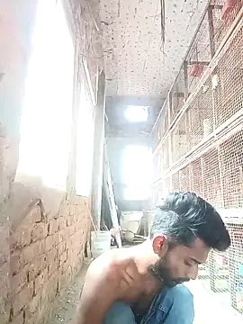 NICK IN online show from 2, 12, 2024