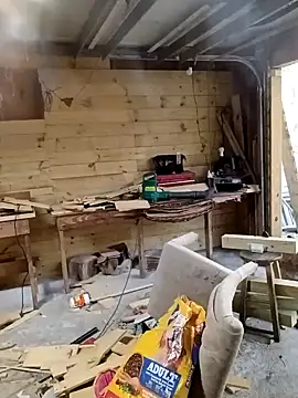 Buffshagswell online show from 13, 11, 2025