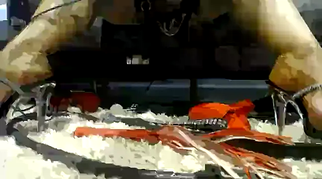 Niquitasparkles online show from 4, 2, 2025