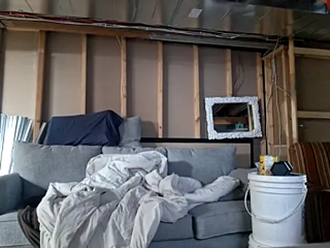 Frankdick01 online show from 25, 2, 2026