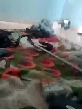 Snapshot of raiu1257 chatting on 21, 2, 2025 raiu1257 online show from 21, 2, 2025