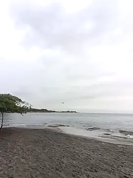 IaDoherty online show from 12, 9, 2025