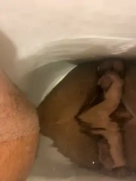 SensualG300 online show from 17, 1, 2026