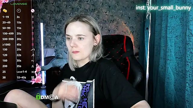 Your small bunny online show from 7, 7, 2026