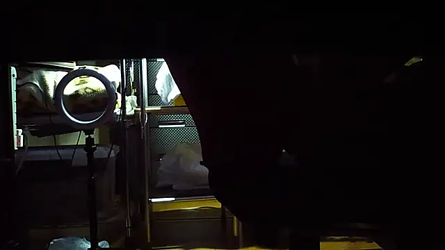 Snapshot of qoooqing67 chatting on 15, 12, 2024 qoooqing67 online show from 15, 12, 2024