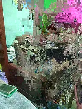ShelfyOfferer online show from 29, 5, 2026