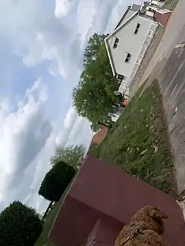 EllaSnow online show from 15, 4, 2026