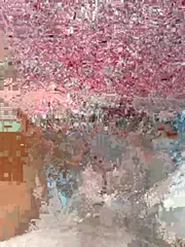 wajdi-wa7ch online show from 29, 7, 2026