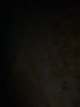 tripexnte online show from 20, 2, 2025