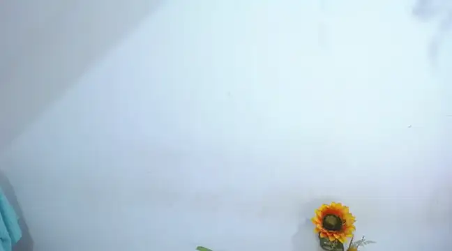 diamonmeli online show from 14, 1, 2025