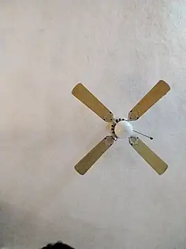 FreakySag 8888 online show from 10, 3, 2025