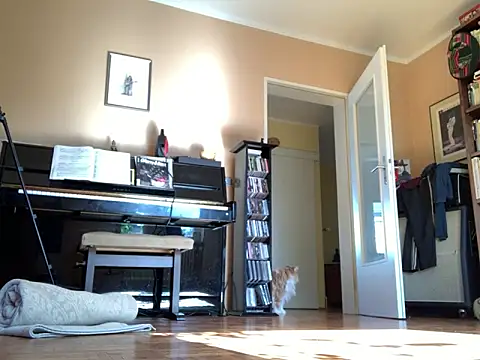 Bula94193 online show from 24, 9, 2025