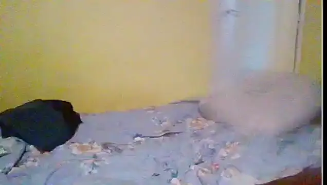 Regularfucker28 online show from 23, 4, 2026