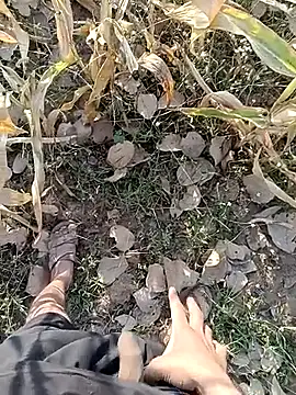 Piyush 2024 online show from 11, 3, 2026