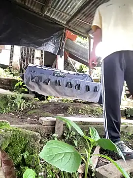 Jestebanano online show from 11, 3, 2026