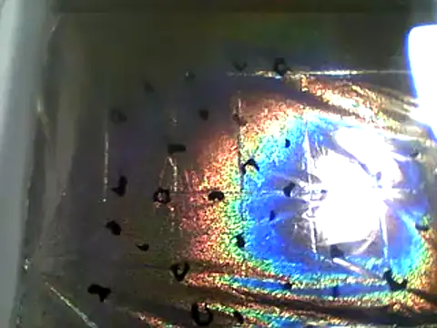 Snapshot of camiliaskye chatting on 13, 12, 2024 camiliaskye online show from 13, 12, 2024