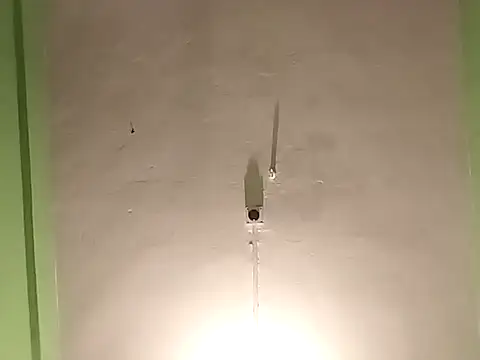 Snapshot of RADHAHO chatting on 4, 11, 2025 RADHAHO online show from 4, 11, 2025