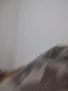 Satiro Sevilla online show from 24, 2, 2026