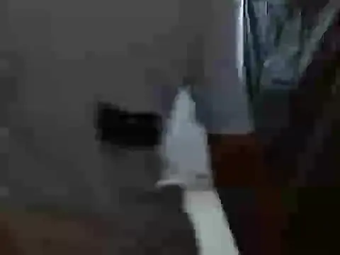 Snapshot of latino_hotxxx chatting on 20, 10, 2025 latino hotxxx online show from 20, 10, 2025