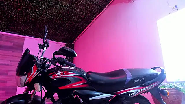 Snapshot of AkazaBoy_ chatting on 27, 12, 2024 AkazaBoy  online show from 27, 12, 2024