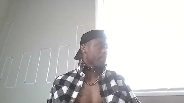 PETER-RABIT online show from 29, 12, 2024