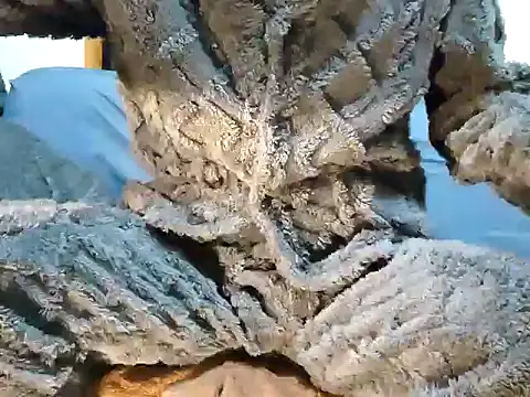 creamlive97 online show from 30, 12, 2024