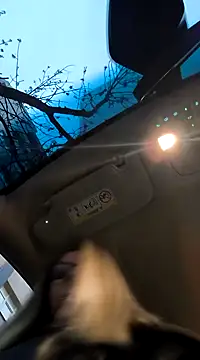 SukyGirl online show from 3, 2, 2025