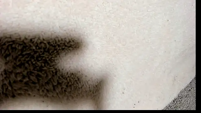 Brock hurn1 online show from 15, 9, 2025