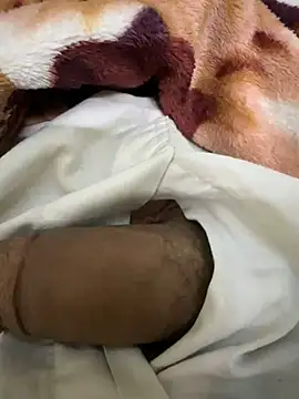 Snapshot of hamed-697 chatting on 9, 12, 2024 hamed-697 online show from 9, 12, 2024