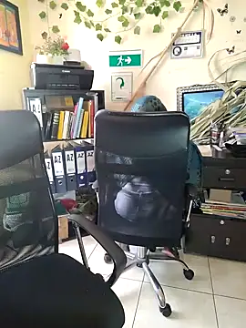 NAJWA-ARAB online show from 15, 1, 2025