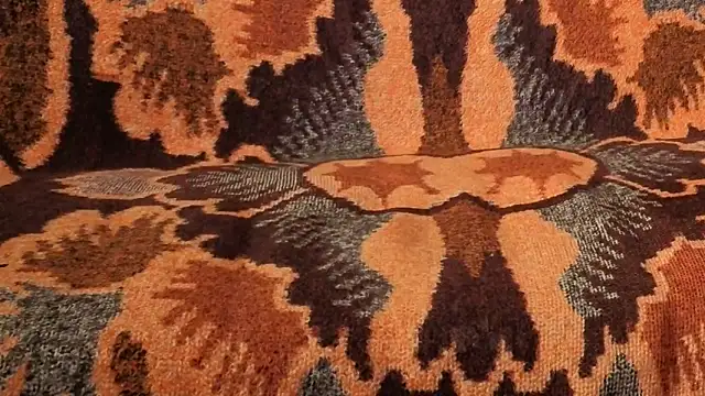 loverboyxxx69 online show from 9, 2, 2026