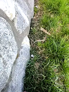 Snapshot of DrownMentallyyy chatting on 22, 3, 2025 DrownMentallyyy online show from 22, 3, 2025