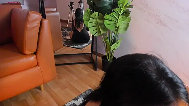 Belliinda 21 online show from 26, 2, 2026