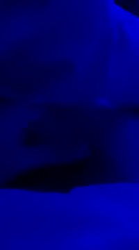 jhon hout online show from 14, 2, 2025