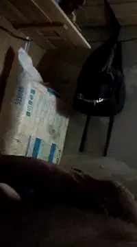 cockringkelley97 online show from 1, 12, 2024